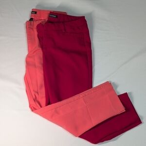 Roz & Ali Vibrant Red and Pink Cropped Pants